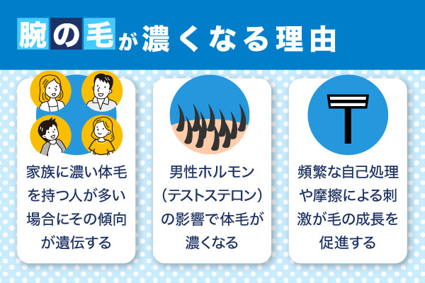 腕の毛が濃くなる理由は遺伝・ホルモンバランス・自己処理の影響